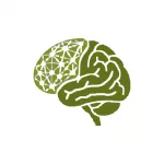 The Frontal Lobe Paradox Field Guide is a practical digital resource that helps professionals, families and individuals understand the gap between knowing and doing in neurological conditions. It explains why someone may appear capable in conversation, yet struggle in everyday life.